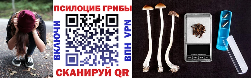 Галлюциногенные грибы GOLDEN TEACHER  сколько стоит  Соль-Илецк 